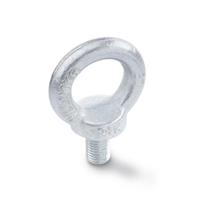 DIN 580 Lifting Eye Bolt